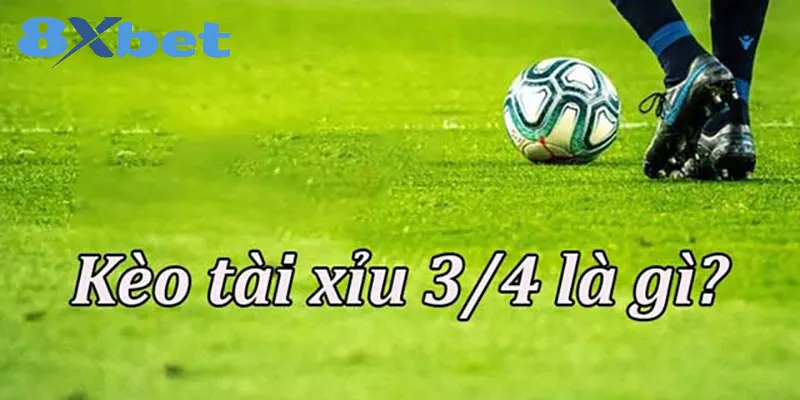 Tài xỉu 3/4 - Hướng dẫn cho người đam mê cá cược bóng đá 2 Thông tin về kèo cược tài xỉu 3/4
