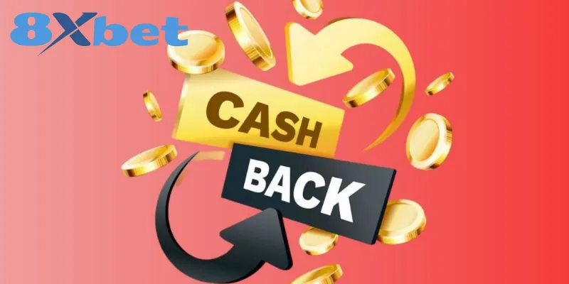 Mẹo tận dụng tối ưu Cashback khi tham gia cá cược